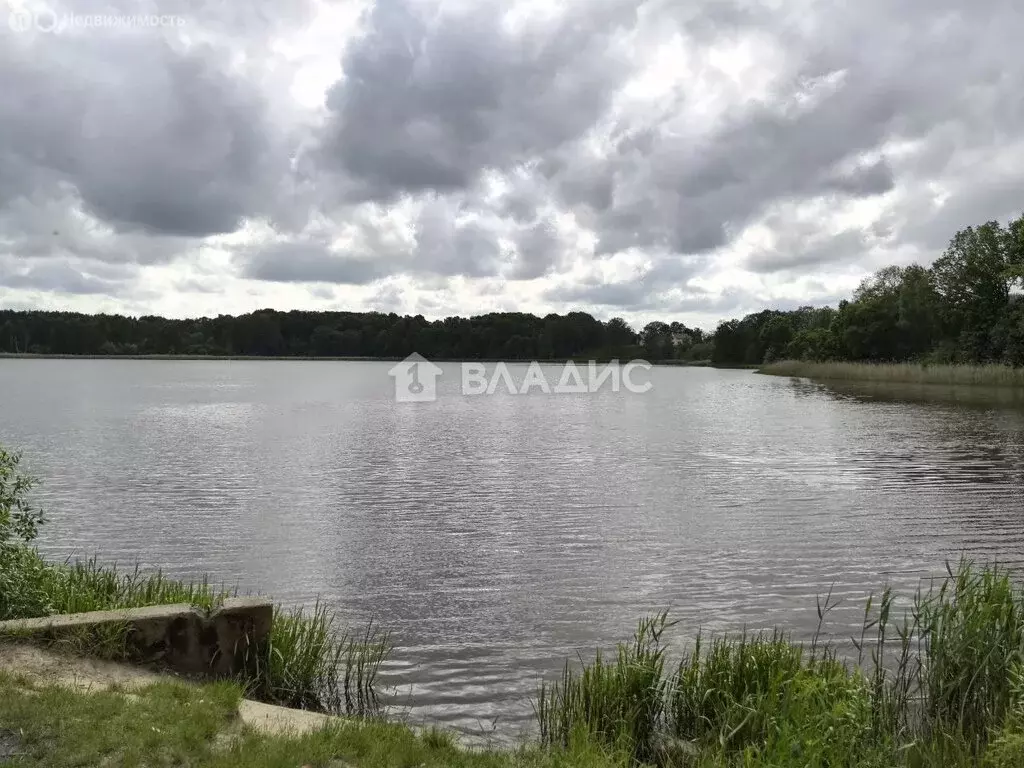 Участок в Калининградская область, Багратионовский муниципальный ... - Фото 0