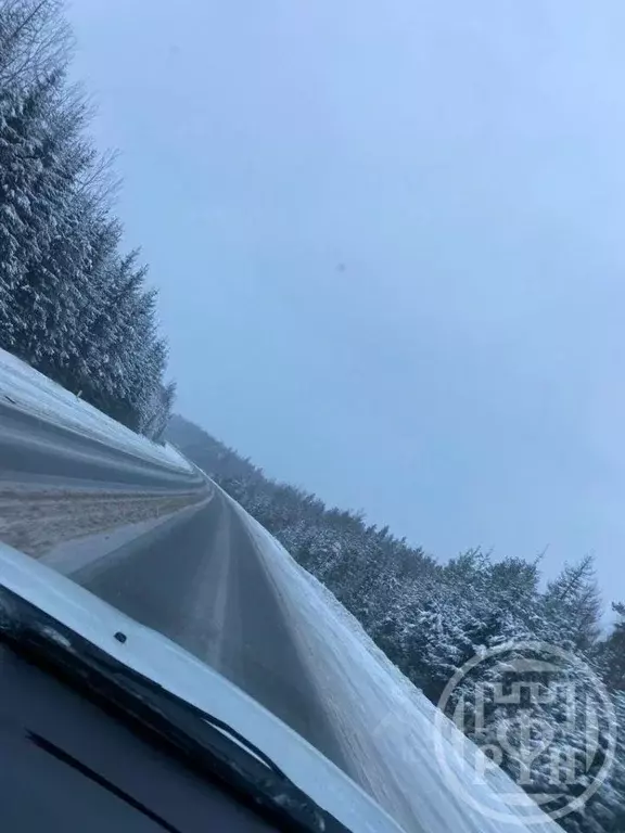 Участок в Псковская область, Струго-Красненский район, д. Теребуни  ... - Фото 1