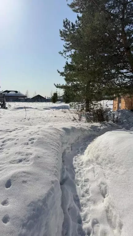 Участок в Московская область, Пушкинский городской округ, с. Левково  ... - Фото 2