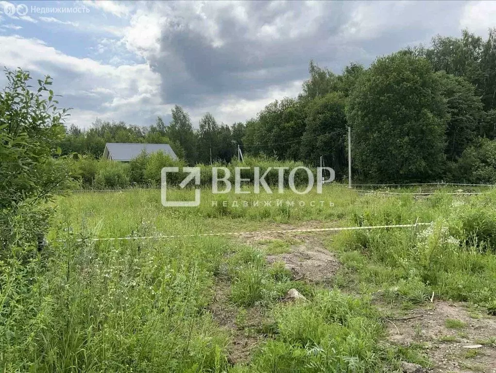 Участок в Красносельский район, Боровиковское сельское поселение, ... - Фото 1