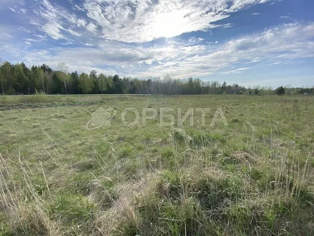 Участок в Тюменская область, Тюменский район, д. Головина  (12.0 сот.) - Фото 1