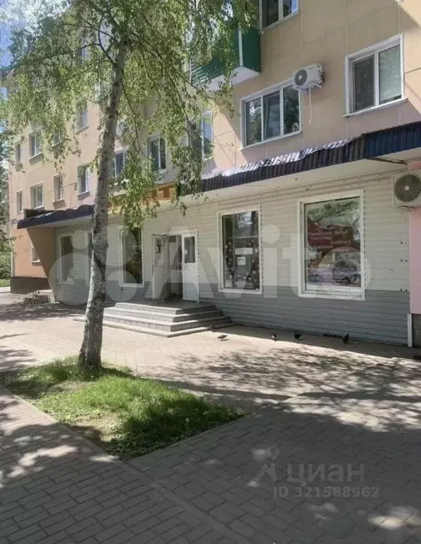 Торговая площадь в Татарстан, Азнакаево ул. Ленина, 28 (260 м) - Фото 1