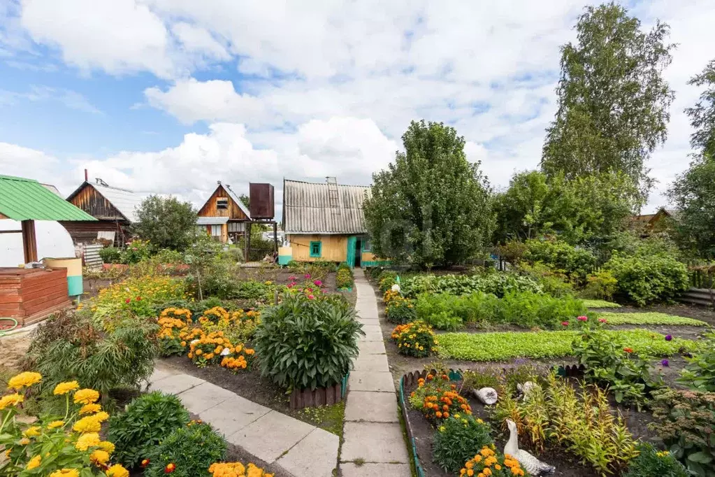 Дом в Тюменская область, Тюмень Ручеек СНТ, ул. Клубничная (60 м) - Фото 1