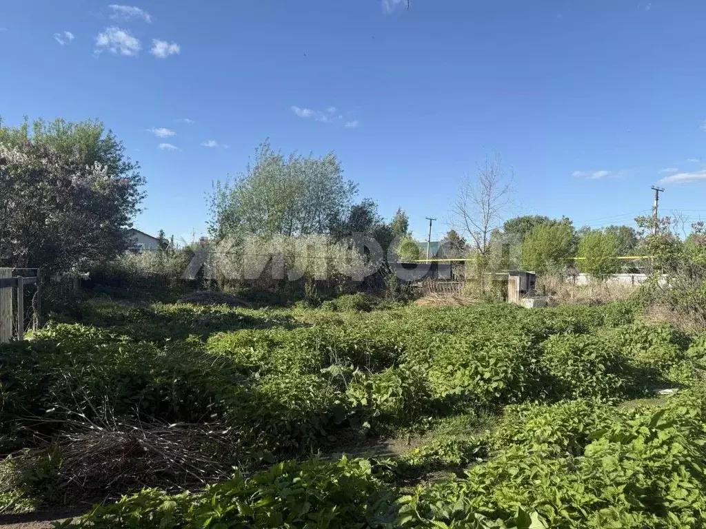 Дом в Новосибирская область, Новосибирск 2-я Клубная ул. (49 м) - Фото 1