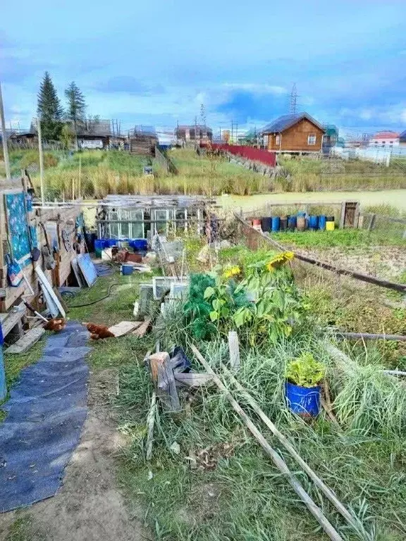 Дом в Саха (Якутия), с. Пригородный ул. Центральная, 21 (34 м) - Фото 1