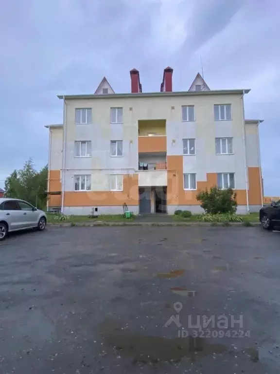 1-к кв. Белгородская область, Строитель Яковлевский городской округ, ... - Фото 2