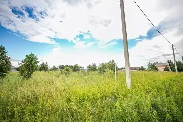 Участок в Новосибирская область, Бердск ул. Славная (6.0 сот.) - Фото 0