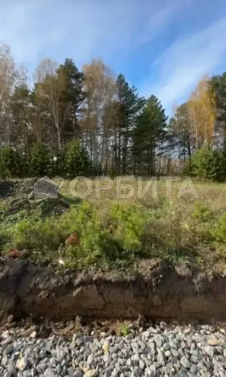 Участок в Тюменская область, Тюменский район, д. Ушакова Зеленая ул. ... - Фото 0