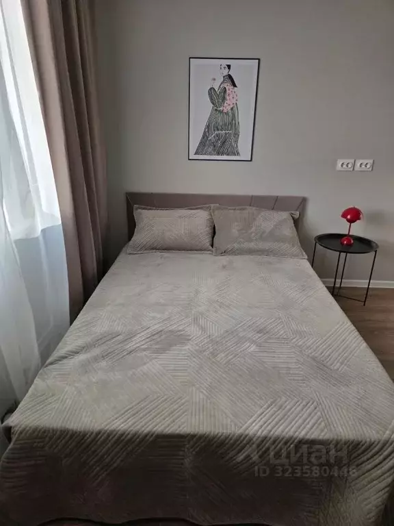 Студия Санкт-Петербург ул. Пахомовская, 12к1 (21.0 м) - Фото 2