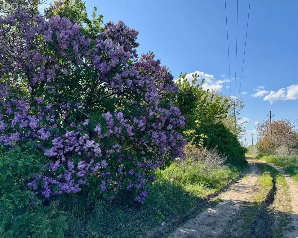 Дом в Волгоград, СНТ Дзержинец, Алюминиевский массив (20 м) - Фото 0