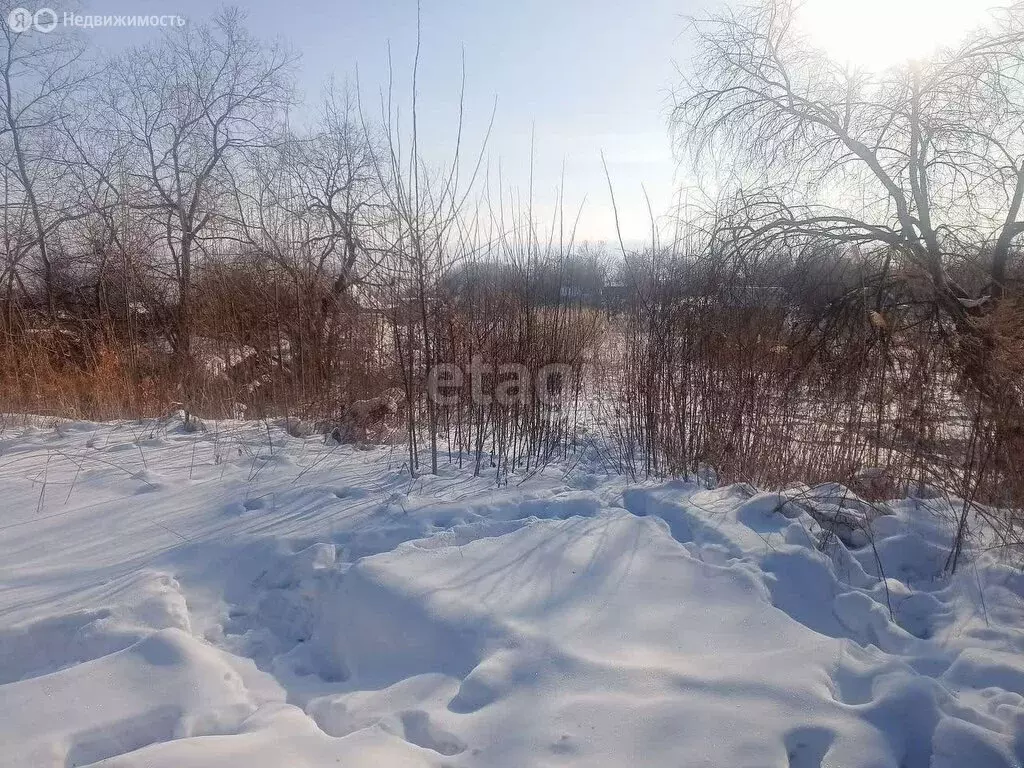 Участок в Благовещенск, посёлок Моховая Падь (8.1 м) - Фото 1