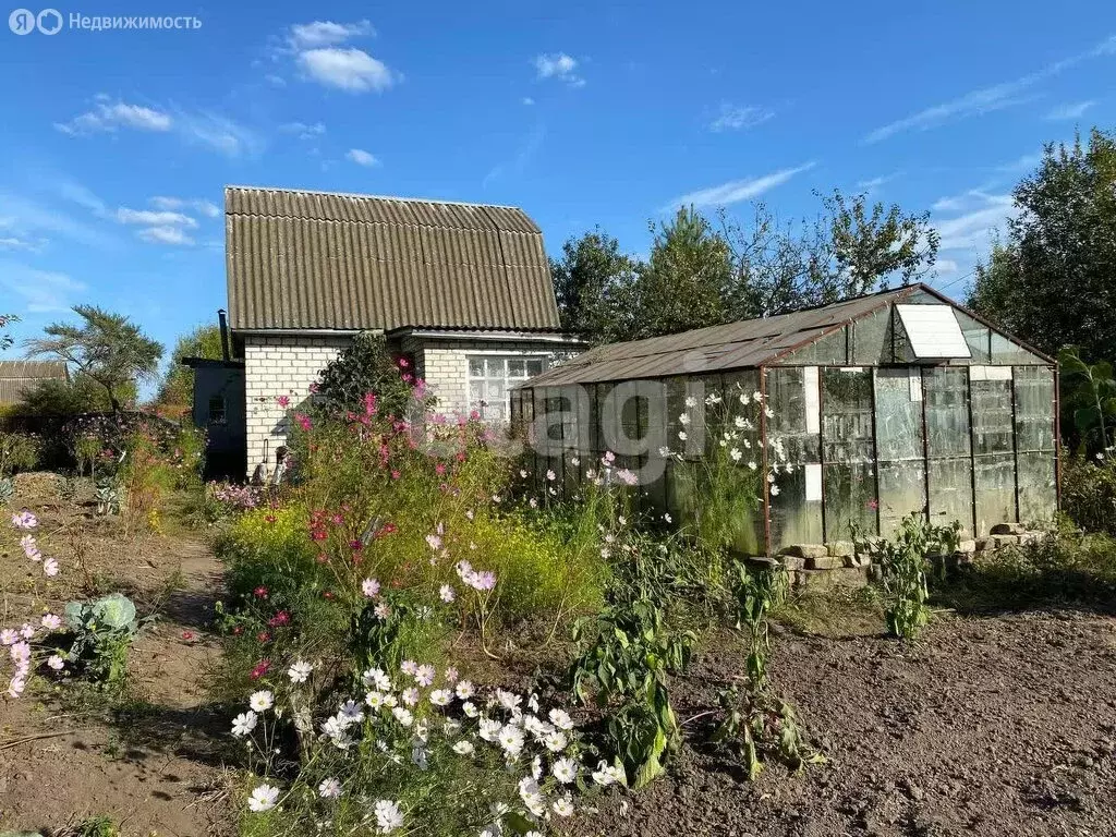 Дом в Брянск, садоводческое товарищество Надежда (30 м) - Фото 1