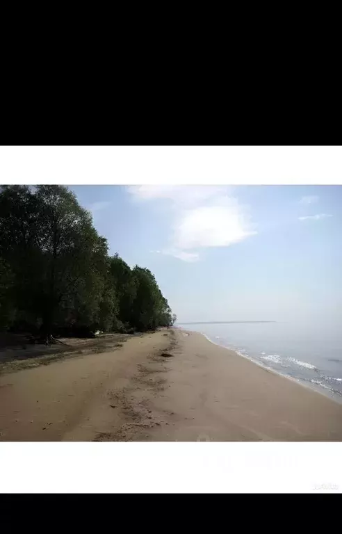 Участок в Татарстан, Лаишевский район, Чирповское с/пос, с. Именьково  ... - Фото 0