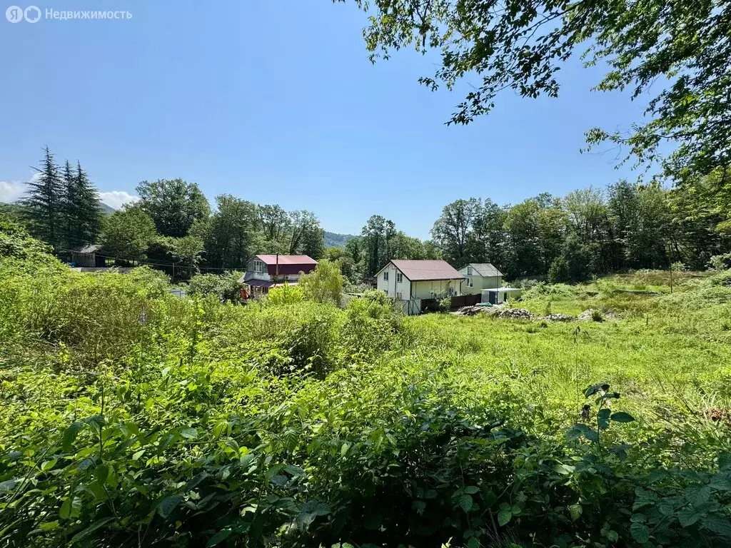Участок в Сочи, Зенитная улица (7.5 м) - Фото 2