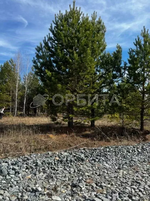 Участок в Тюменская область, Тюменский район, Новокаменский кп ул. ... - Фото 0