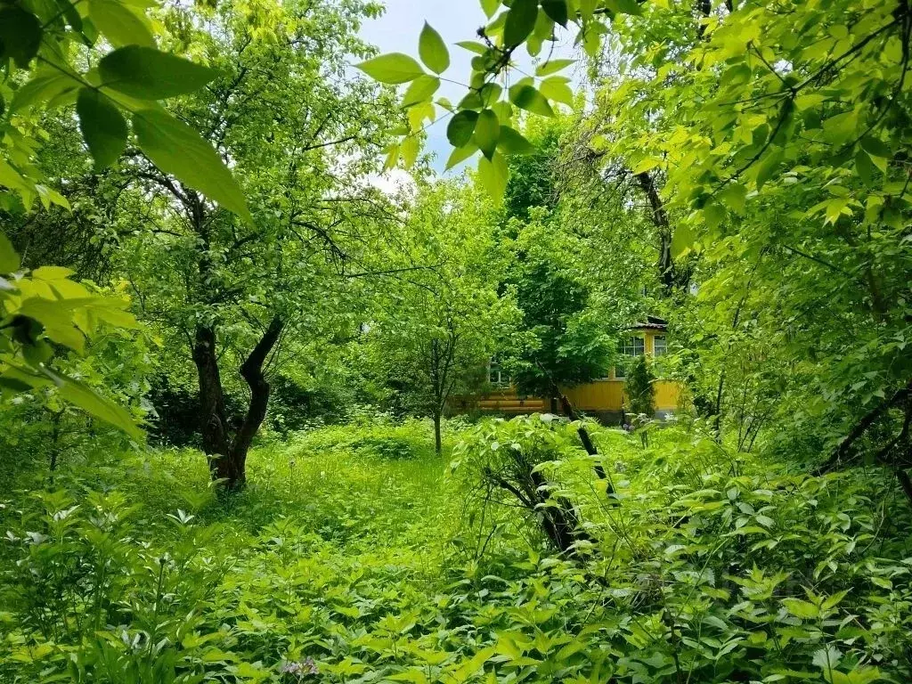 Участок в Московская область, Щелково городской округ, Загорянский пгт ... - Фото 2
