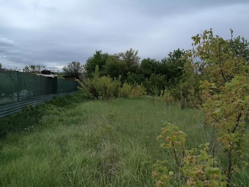 Дом в Воронежская область, Хохольское городское поселение, с. Еманча ... - Фото 0