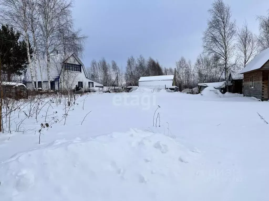 Участок в Ханты-Мансийский АО, Нижневартовск Березка-88 СОНТ, ул. ... - Фото 1