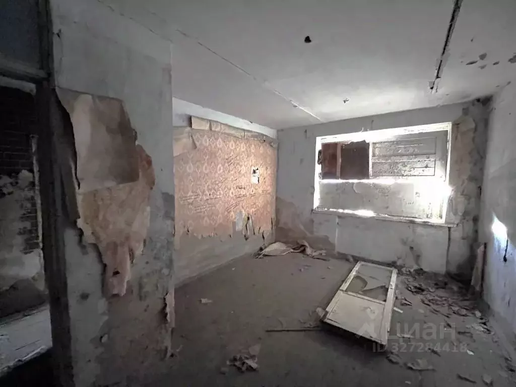 Помещение свободного назначения в Приморский край, Ольгинский ... - Фото 1