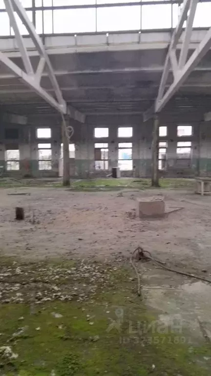 Склад в Московская область, Раменский муниципальный округ, д. Кузяево  ... - Фото 1