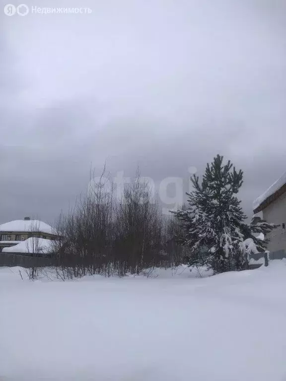 Участок в Пермь, СНТ Надежда-1 (6 м) - Фото 2