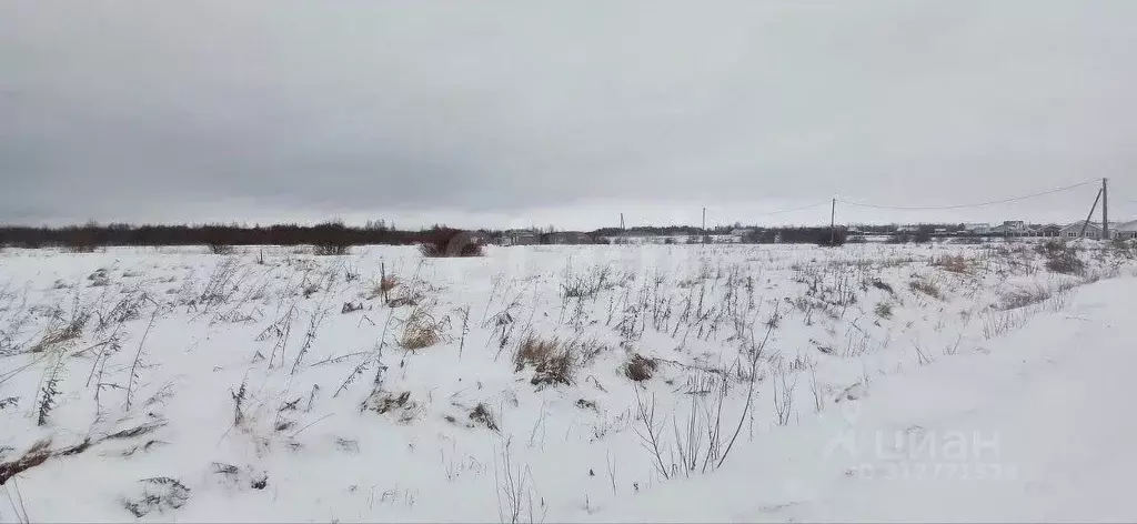 Участок в Вологодская область, Шекснинский район, д. Нифантово ... - Фото 0