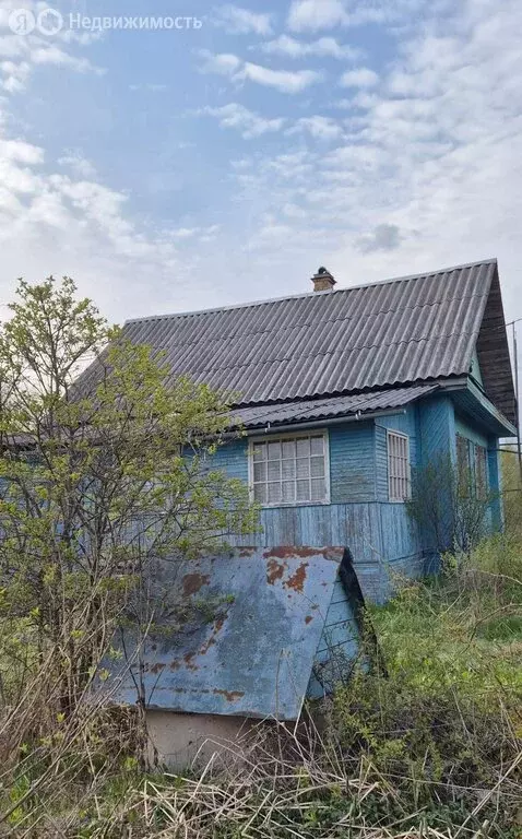 Дом в деревня Бурга, улица Мира, 19 (29.5 м) - Фото 0