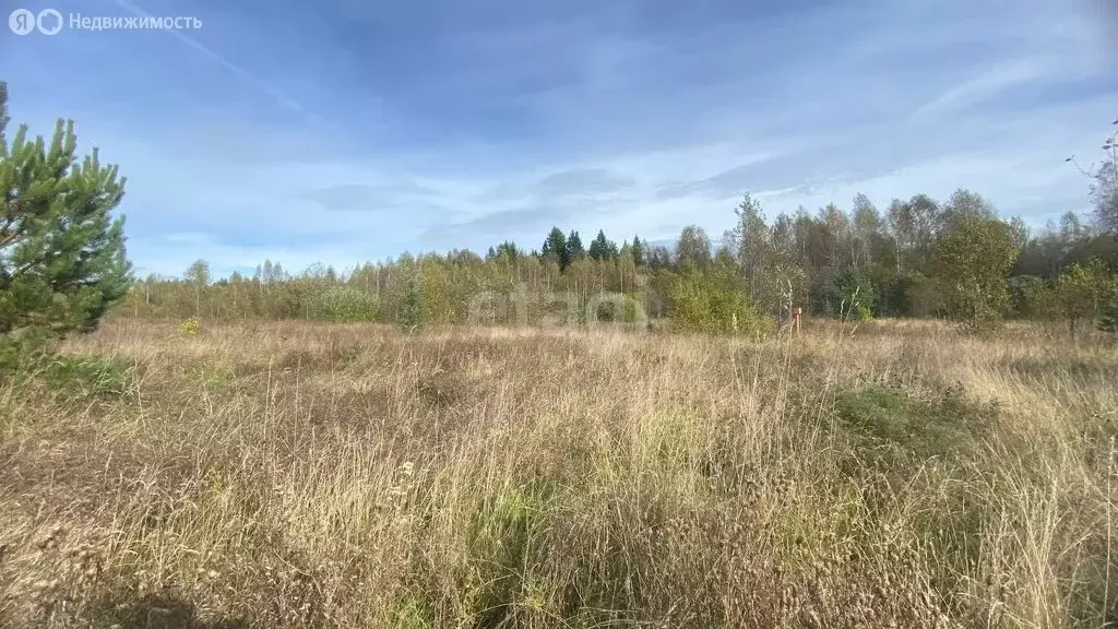 Участок в Судиславский район, Расловское сельское поселение, деревня ... - Фото 0