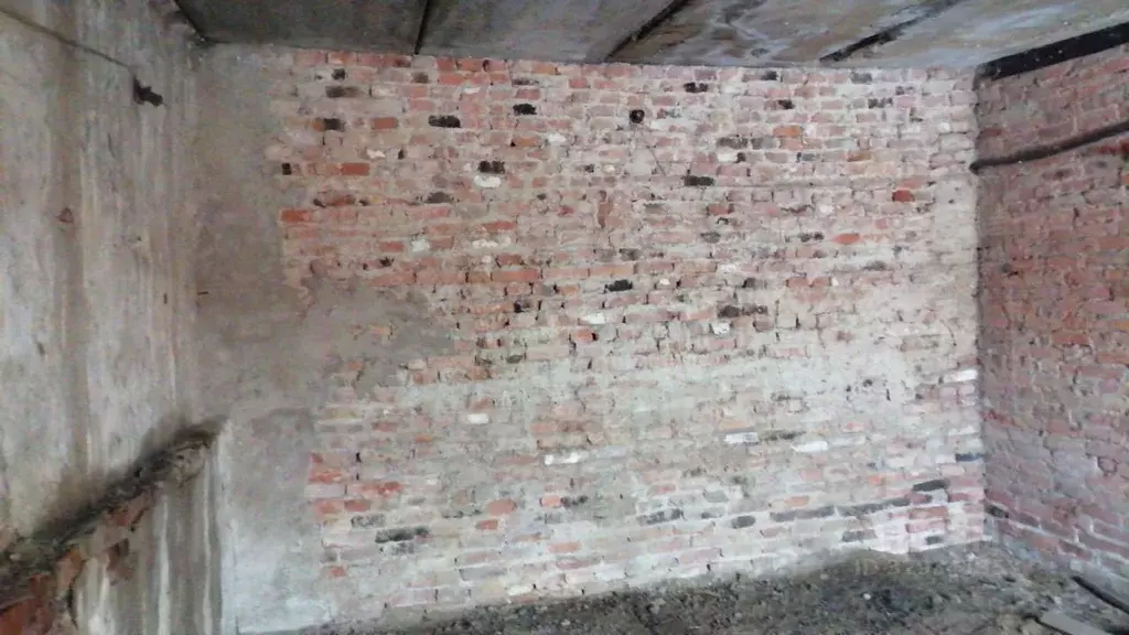 Помещение свободного назначения в Московская область, Луховицы ... - Фото 2