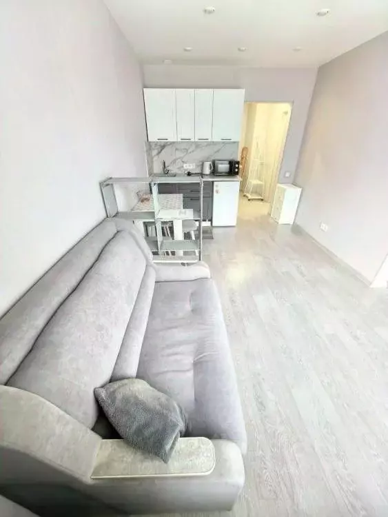 2-к кв. Иркутская область, Иркутск Советская ул., 96 (29.2 м) - Фото 2