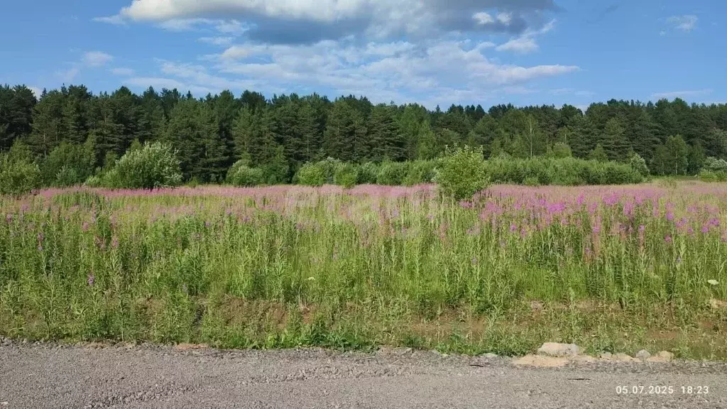 Участок в Свердловская область, Нижний Тагил ул. 70-летия Победы ... - Фото 1