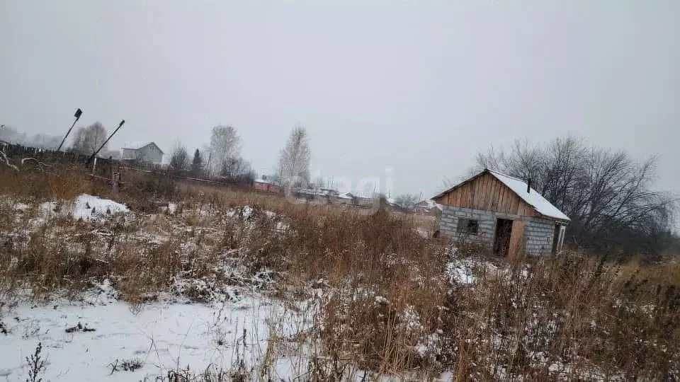 Дом в Свердловская область, Белоярский городской округ, с. Бруснятское ... - Фото 0