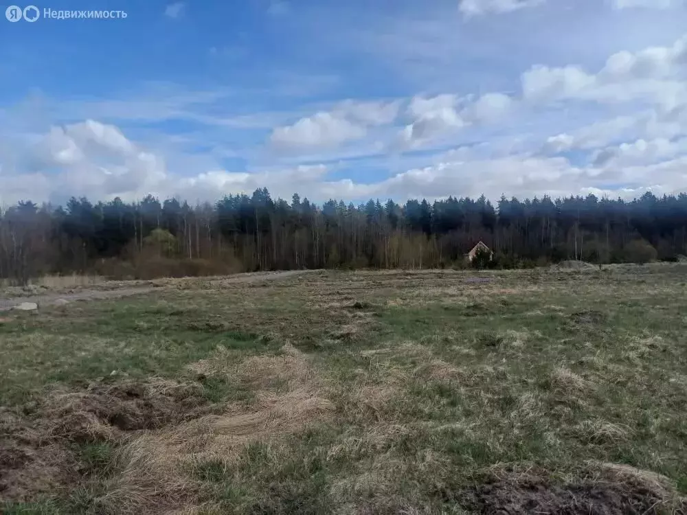 Участок в Отрадное, посёлок Петрушино, Полевая улица, 14 (10 м) - Фото 2