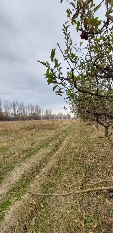 Участок в Адыгея, Майкопский район, Победенское с/пос, пос. Совхозный  ... - Фото 0