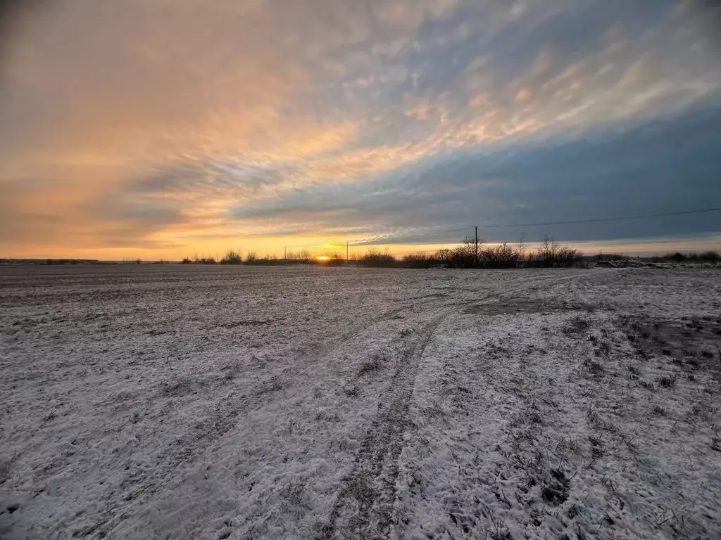 Участок в Ленинградская область, Ломоносовский район, Аннинское ... - Фото 1