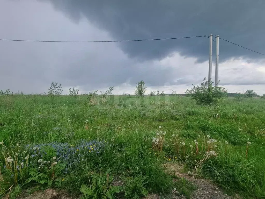 Участок в Смоленская область, Руднянский муниципальный округ, д. ... - Фото 2