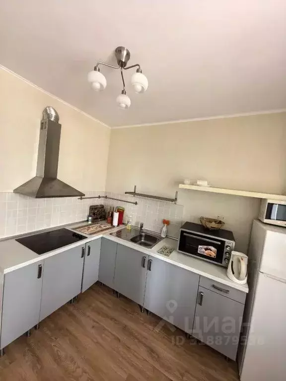 1-к кв. Новосибирская область, Новосибирск ул. Романова, 60 (36.0 м) - Фото 0