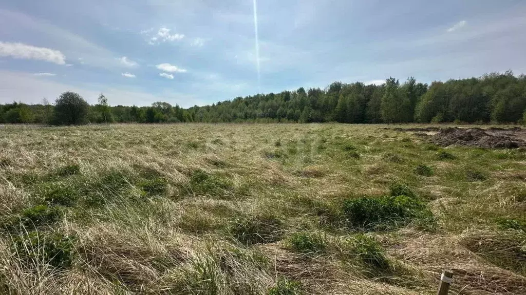 Участок в Калининградская область, Багратионовский муниципальный ... - Фото 2