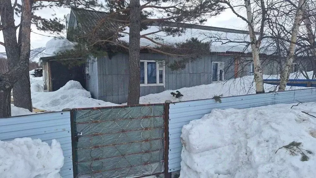 Свободной планировки кв. Камчатский край, Елизовский муниципальный ... - Фото 1