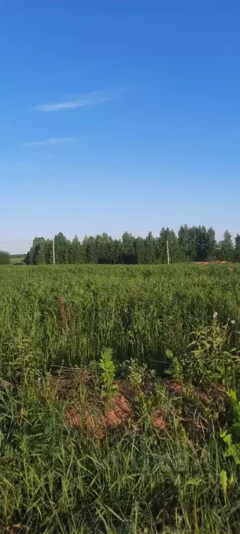 Участок в Марий Эл, Йошкар-Ола городской округ, д. Апшакбеляк ул. ... - Фото 1