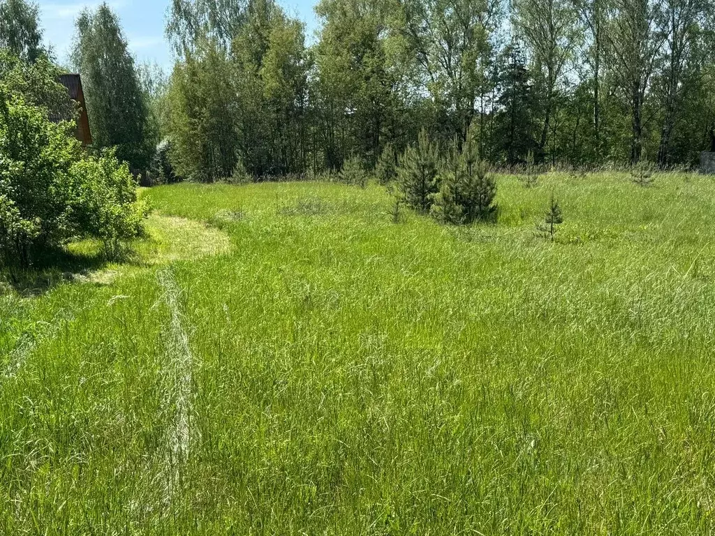 Участок в Московская область, Богородский городской округ, д. Стулово  ... - Фото 1