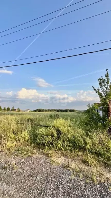 Участок в Нижегородская область, Богородский муниципальный округ, д. ... - Фото 0