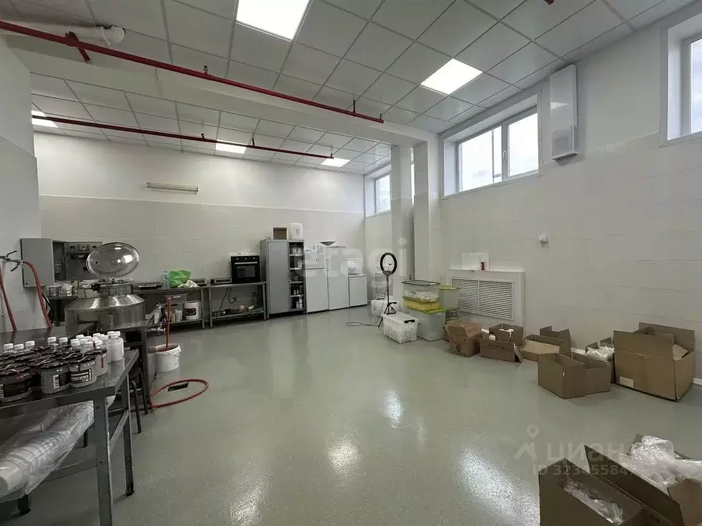 Склад в Новосибирская область, Новосибирск ул. Писемского, 6 (121 м) - Фото 2