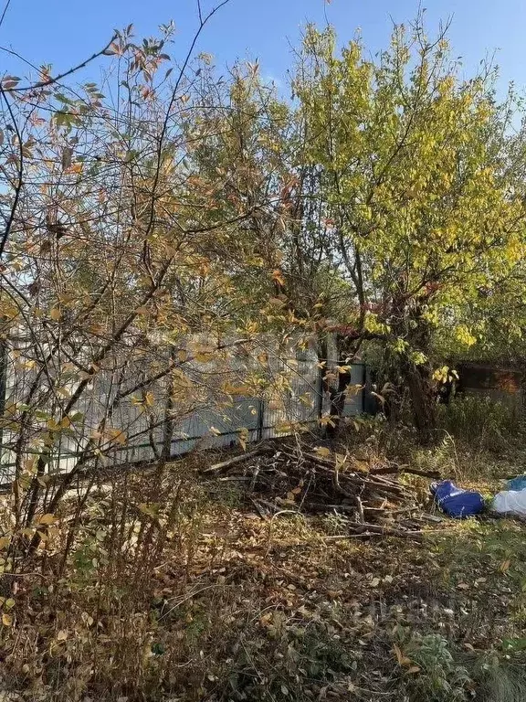 Дом в Воронежская область, Воронеж Садовод ВАСО СНТ, ул. 4-я, 122 (25 ... - Фото 0