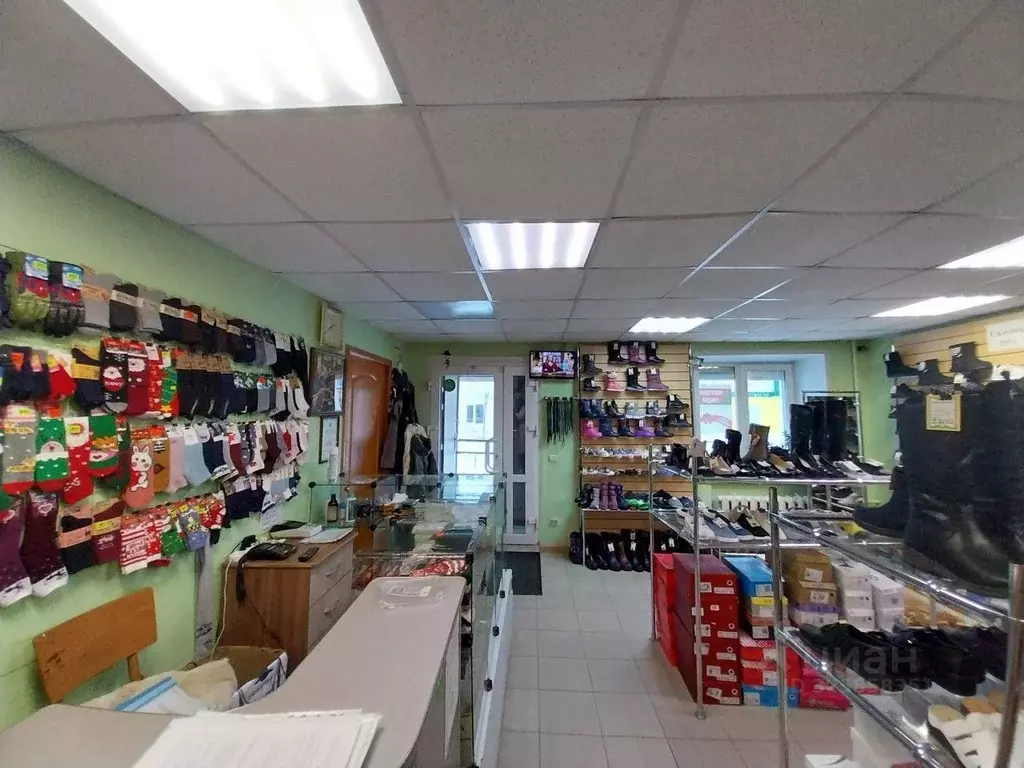 Помещение свободного назначения в Пермский край, Александровск Яйва ... - Фото 1