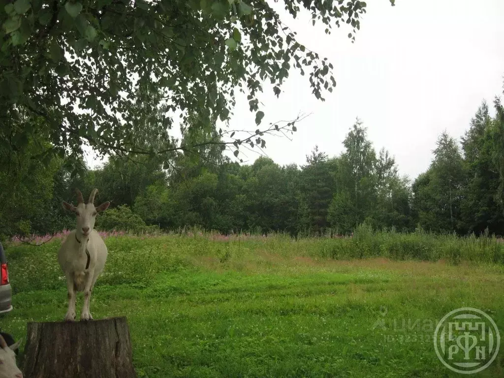 Участок в Ленинградская область, Лужский район, Ретюнское с/пос, д. ... - Фото 1