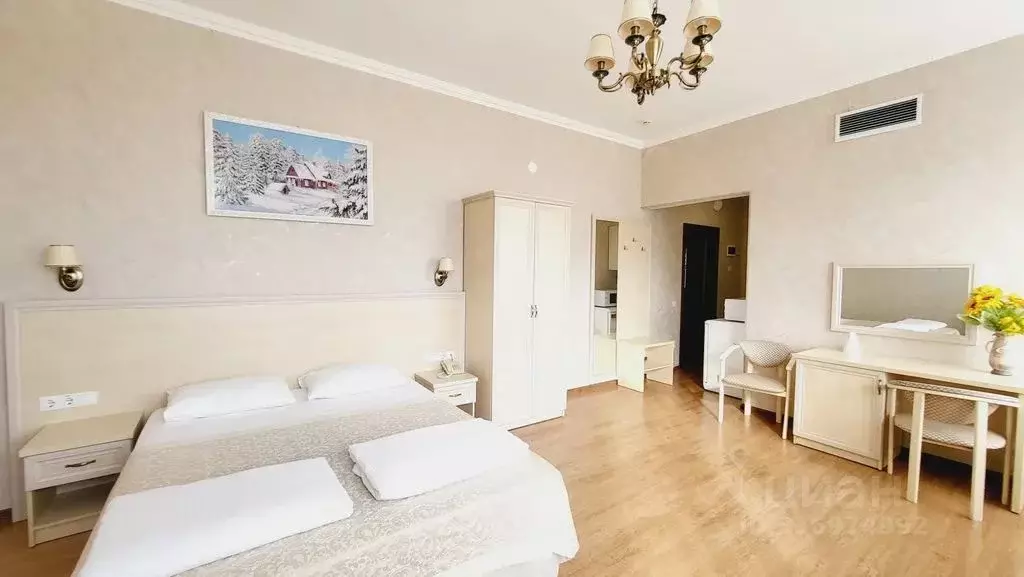 Студия Краснодарский край, Сочи ул. Кирова, 23 (50.0 м) - Фото 1