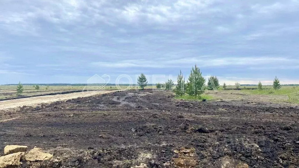 Участок в Тюменская область, Тюменский район, д. Елань ул. Сосновая ... - Фото 1