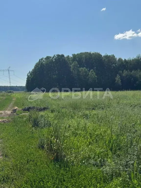 Участок в Тюменская область, Тюменский район, с. Каменка  (5.0 сот.) - Фото 1