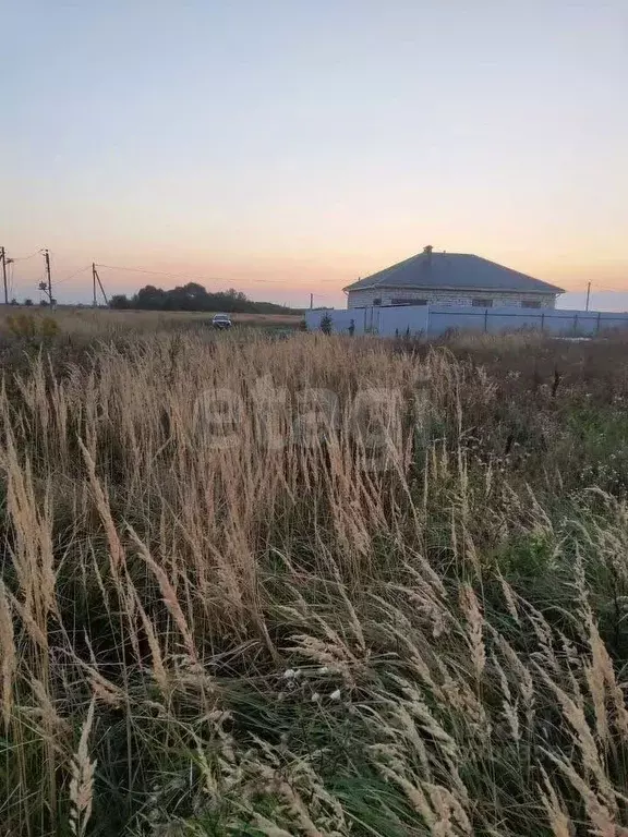 Участок в Курская область, Курский район, Рышковский сельсовет, д. ... - Фото 0